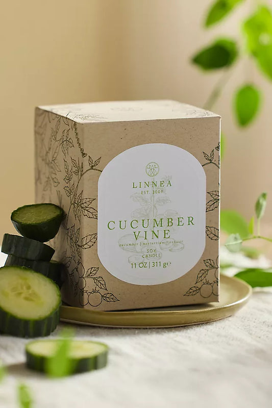 Linnea Cucumber Vine Boxed Candle