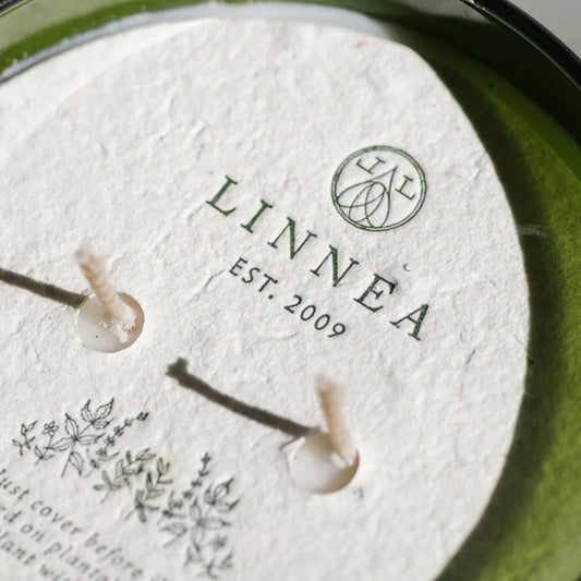 Linnea Crushed Mint Boxed Candle