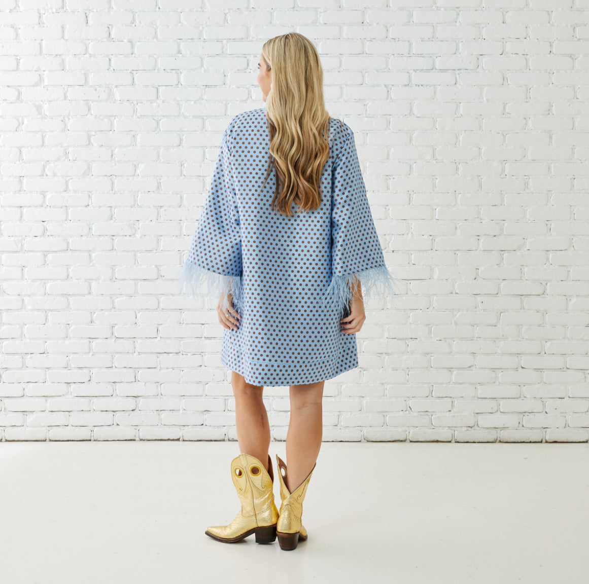 Caryn Lawn Audrey Polka Dot Feather Dress- Pale Blue