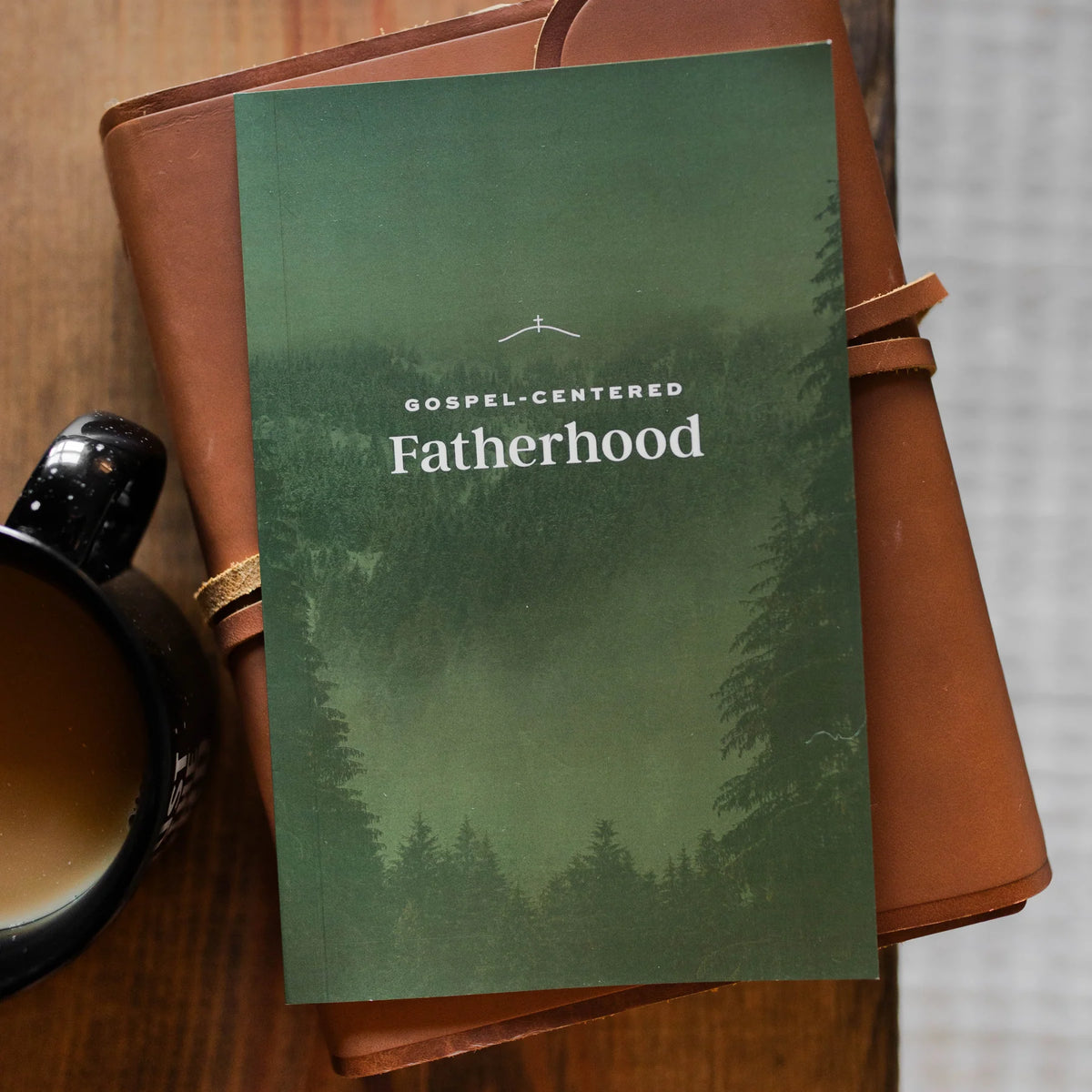 Daily Grace Co. Gospel-Centered Fatherhood