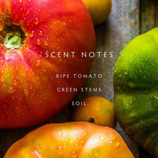 Linnea Heirloom Tomato Boxed Candle