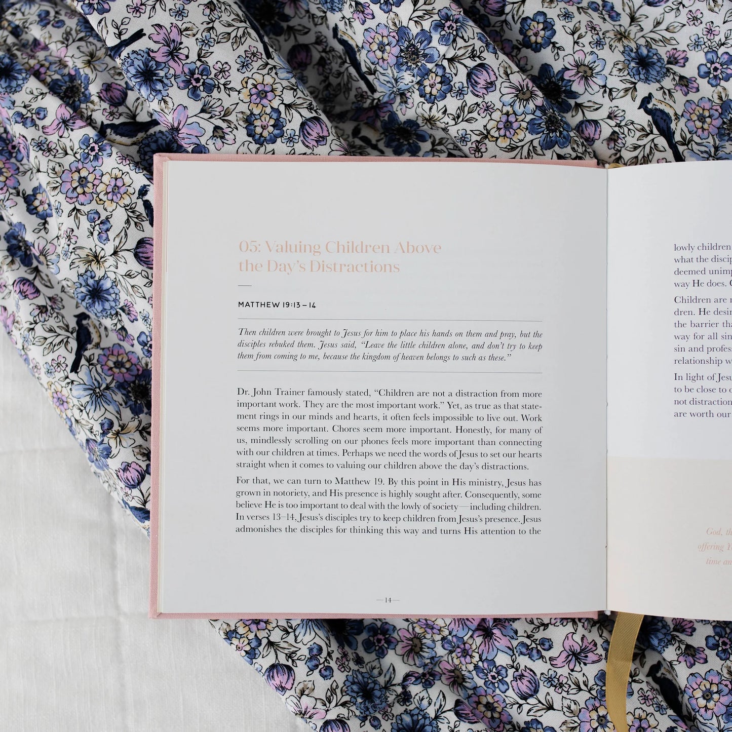 Daily Grace Co. Steadfast Motherhood Devotional