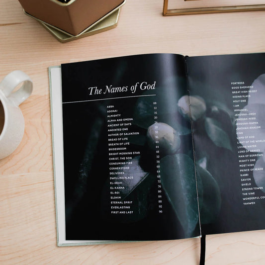 Daily Grace Co. The Names of God