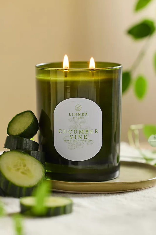 Linnea Cucumber Vine Boxed Candle