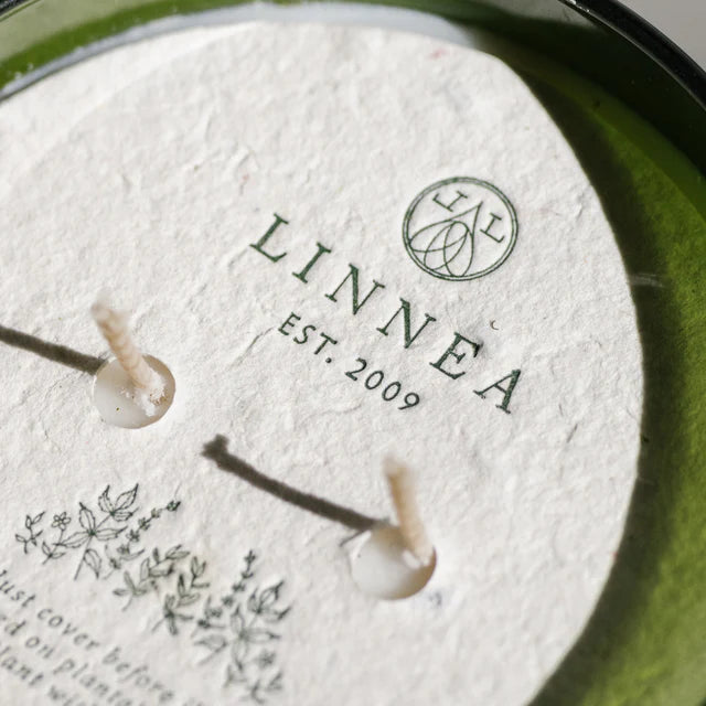 Linnea Crushed Mint Boxed Candle