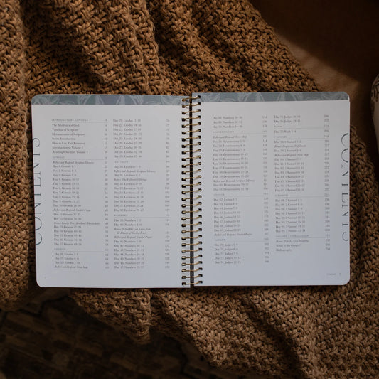 Daily Grace Co. A Year in the Bible | Volume 1