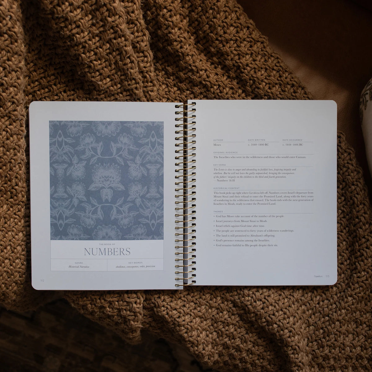 Daily Grace Co. A Year in the Bible | Volume 1