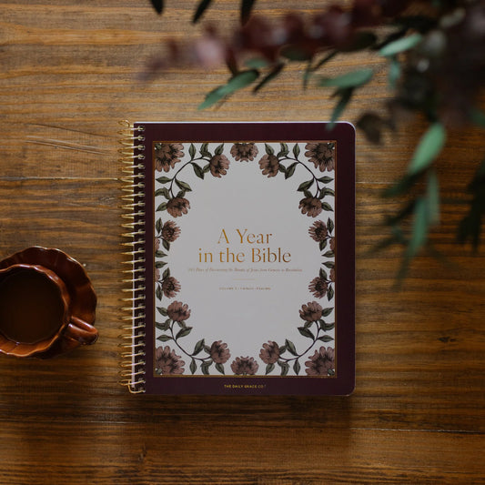 Daily Grace Co. A Year in the Bible | Volume 2