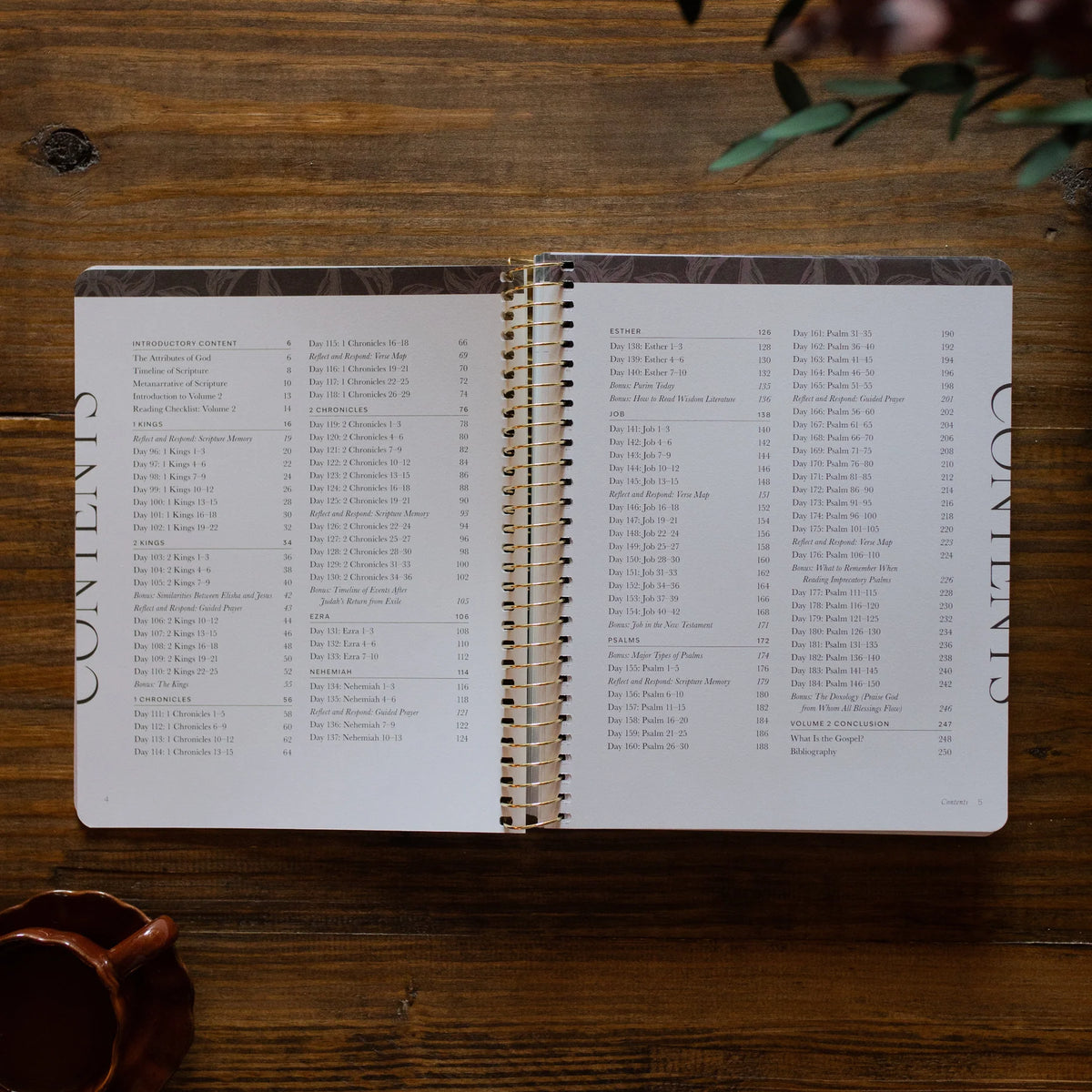 Daily Grace Co. A Year in the Bible | Volume 2