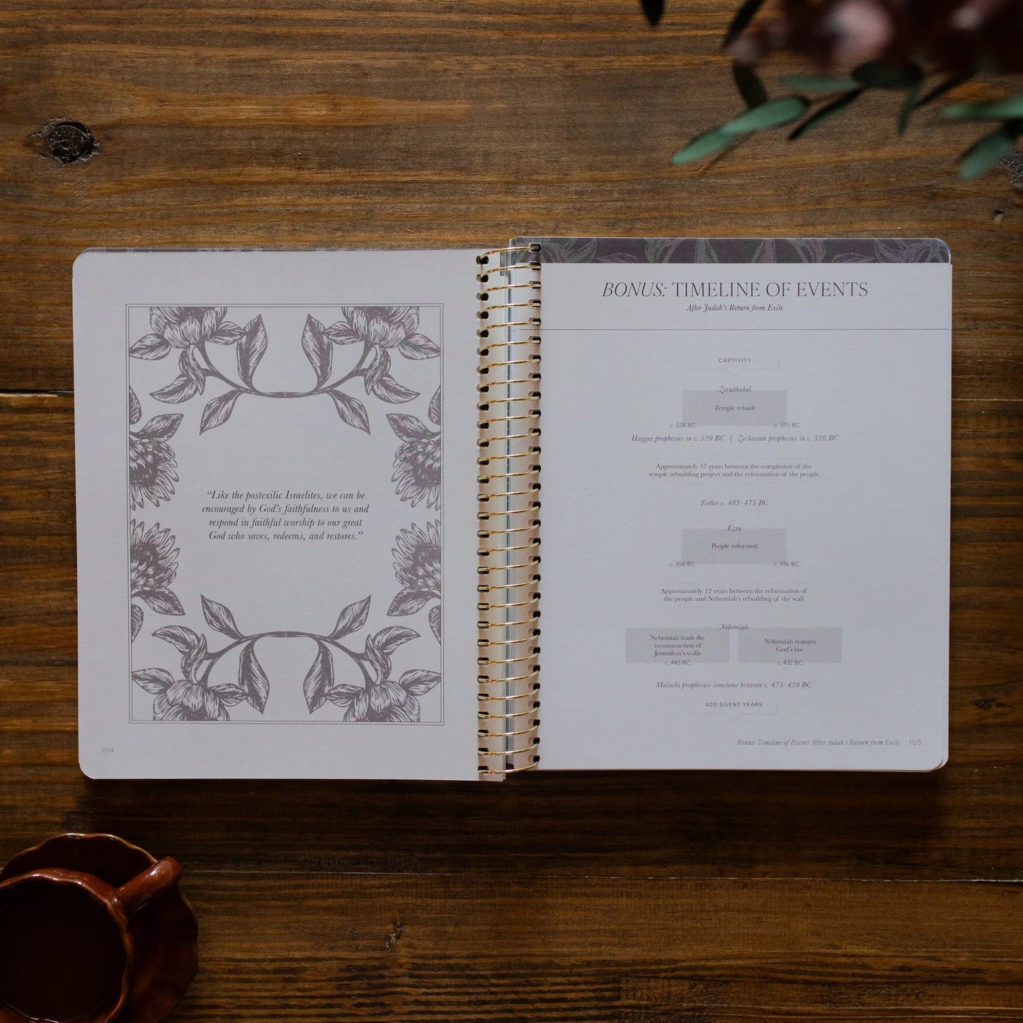 Daily Grace Co. A Year in the Bible | Volume 2