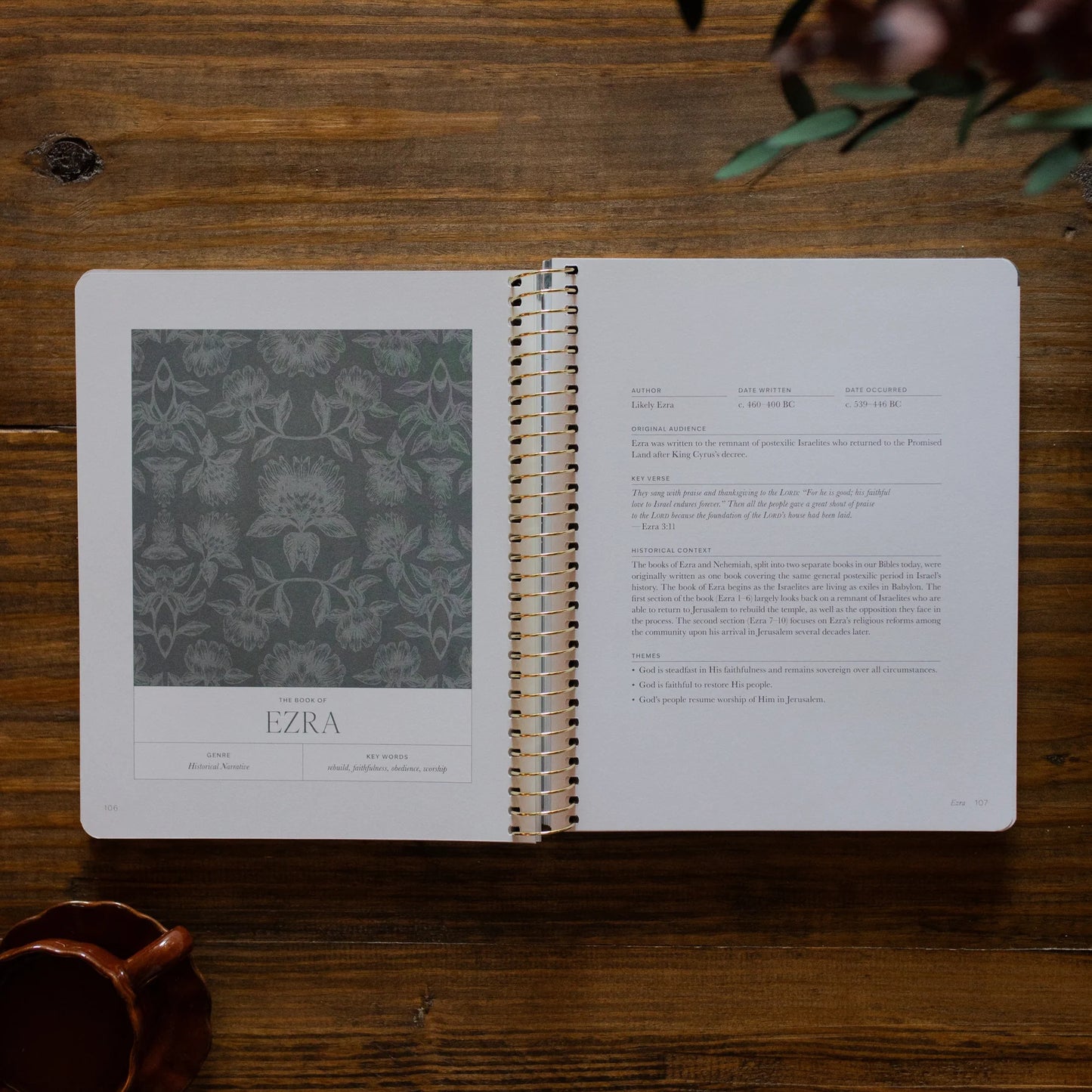 Daily Grace Co. A Year in the Bible | Volume 2