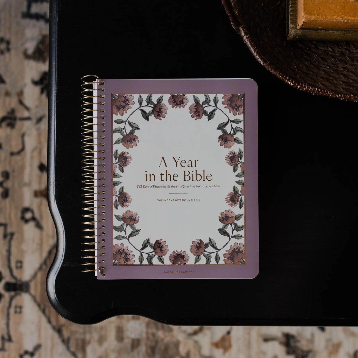 Daily Grace Co. A Year In The Bible | Volume 3