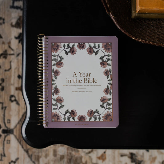 Daily Grace Co. A Year In The Bible | Volume 3