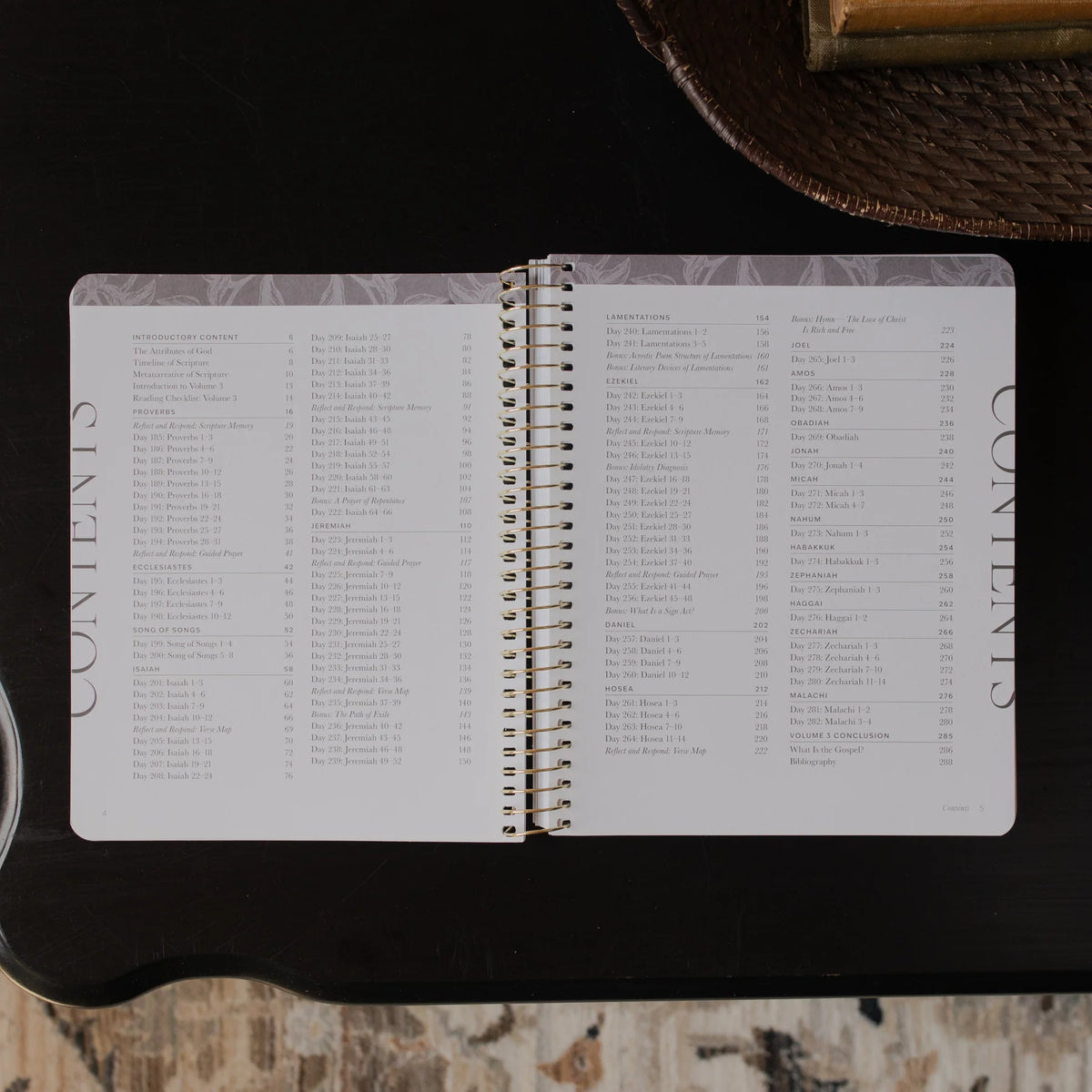 Daily Grace Co. A Year In The Bible | Volume 3