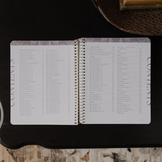 Daily Grace Co. A Year In The Bible | Volume 3