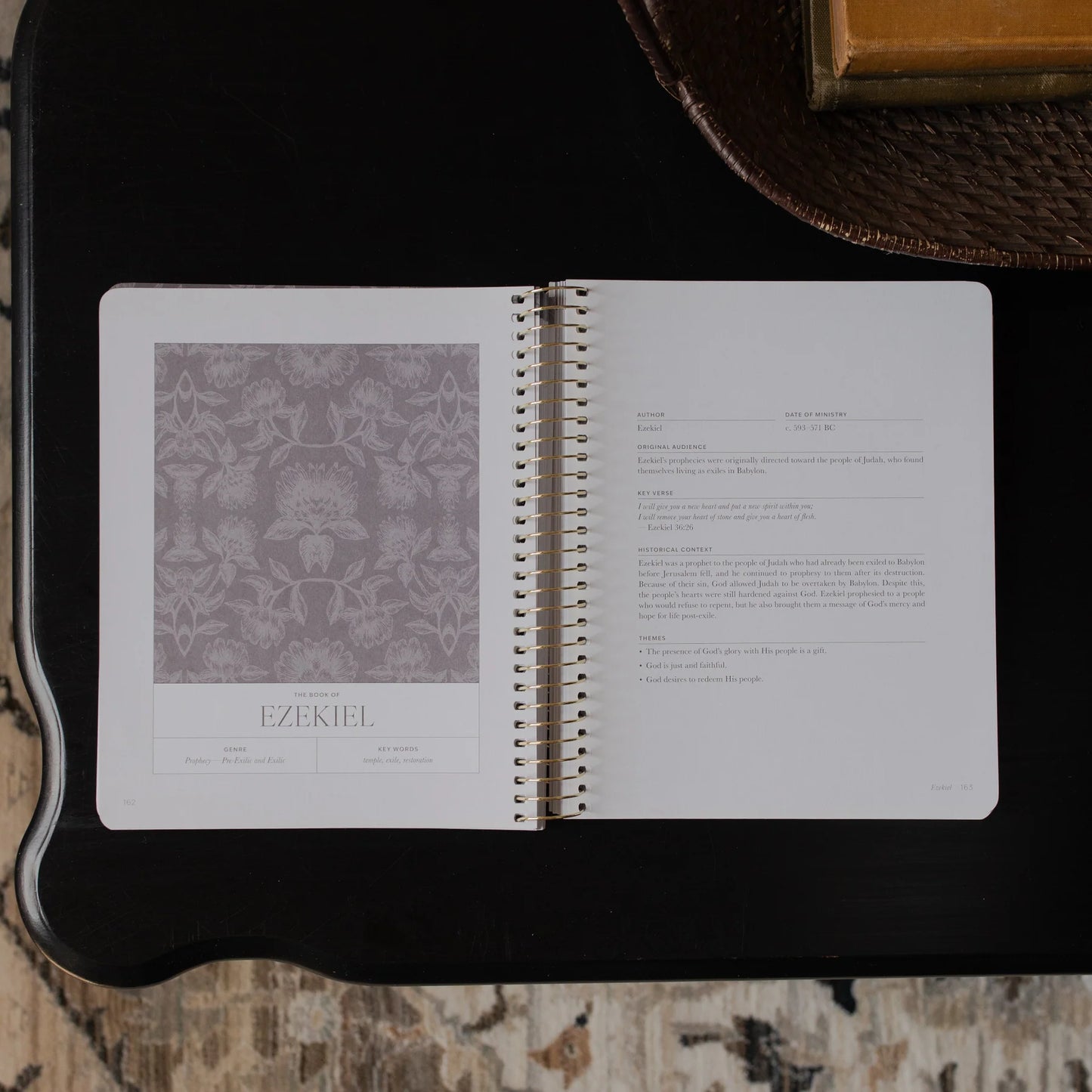 Daily Grace Co. A Year In The Bible | Volume 3
