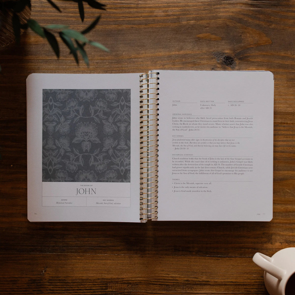 Daily Grace Co. A Year In The Bible | Volume 4