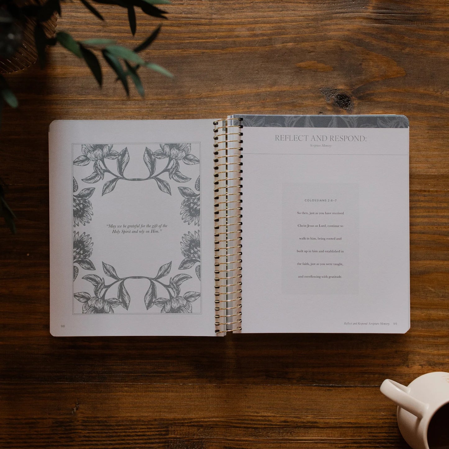 Daily Grace Co. A Year In The Bible | Volume 4