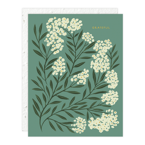 Seedlings Grateful Thank You Card