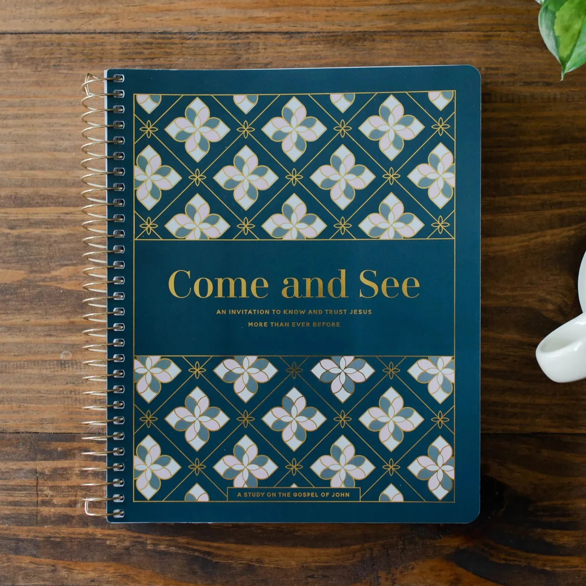 Daily Grace Co. Come And See | Bible Study On John
