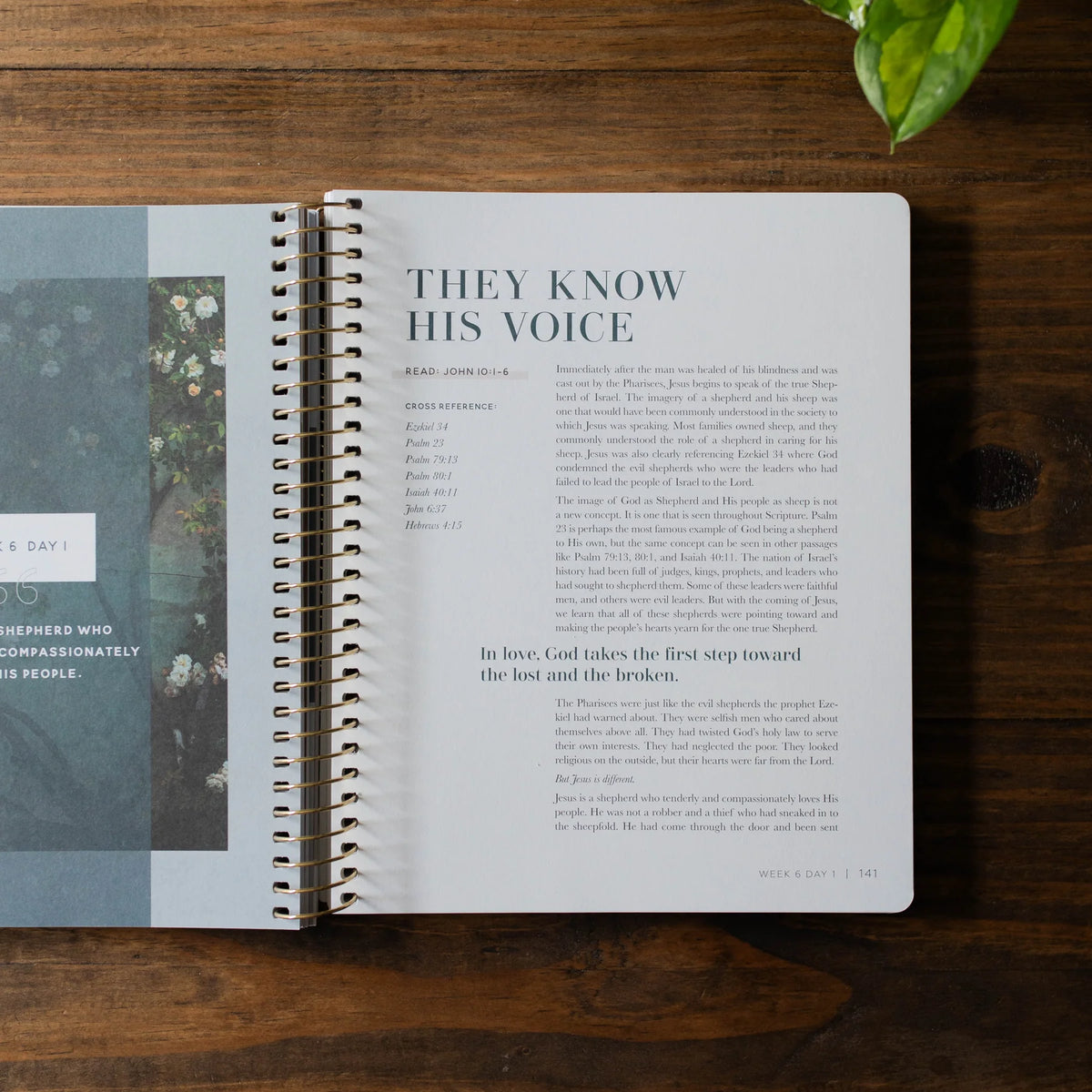 Daily Grace Co. Come And See | Bible Study On John
