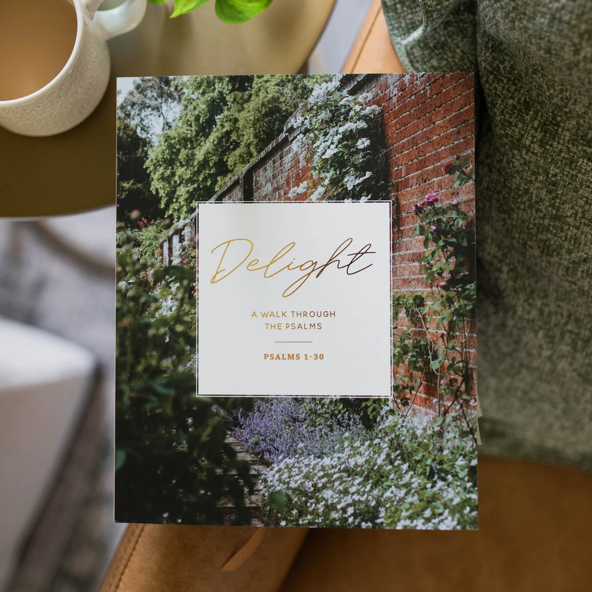 Daily Grace Co. Delight | Psalms 1-30 Bible Study