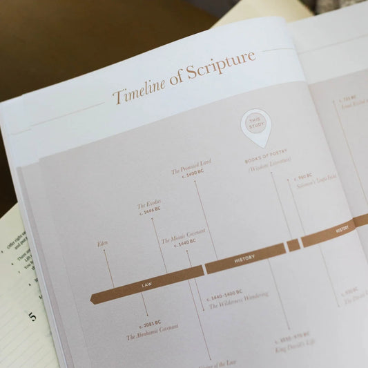 Daily Grace Co. Delight | Psalms 1-30 Bible Study