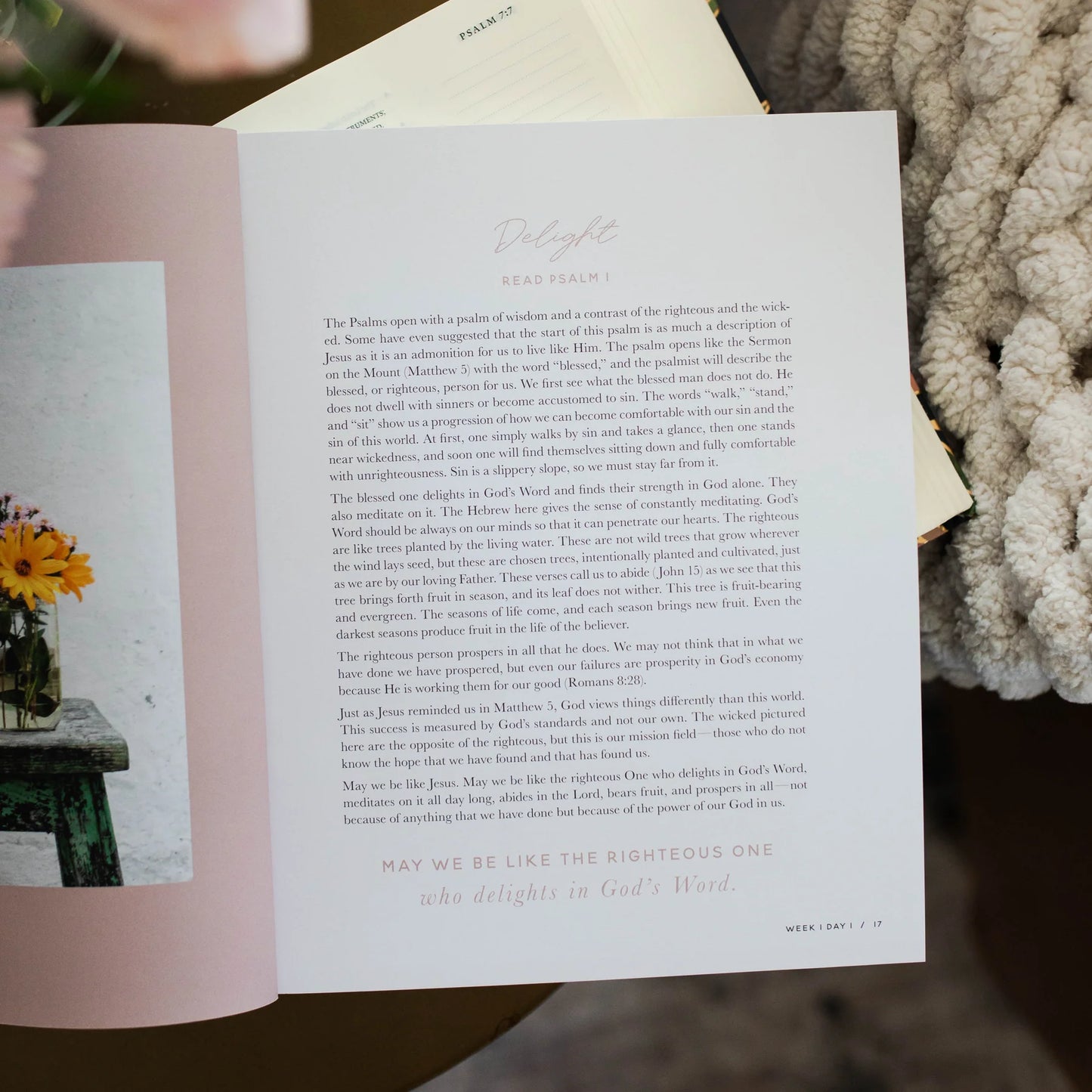 Daily Grace Co. Delight | Psalms 1-30 Bible Study