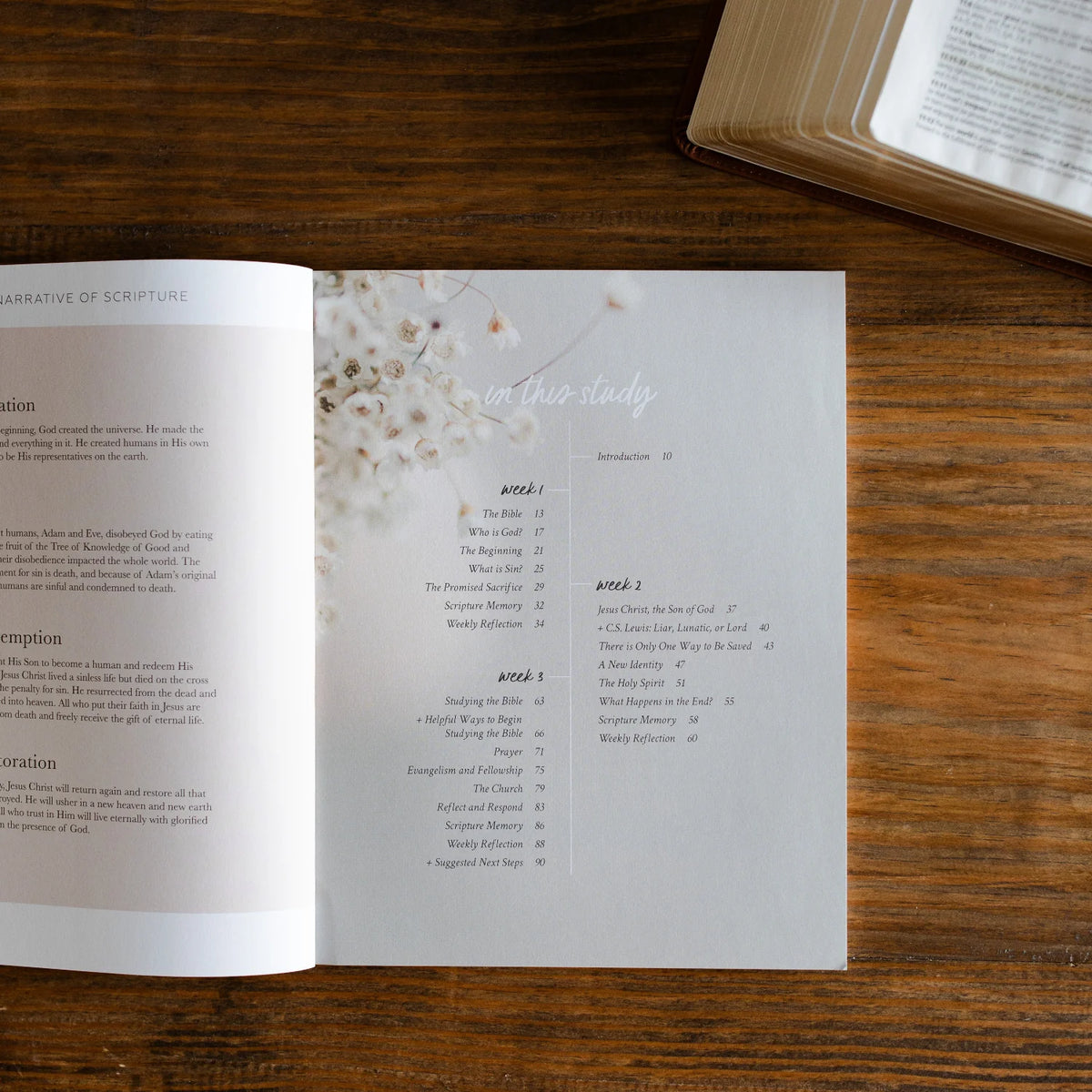 Daily Grace Co. Faith Foundations | A Study on the Basics of Christianity