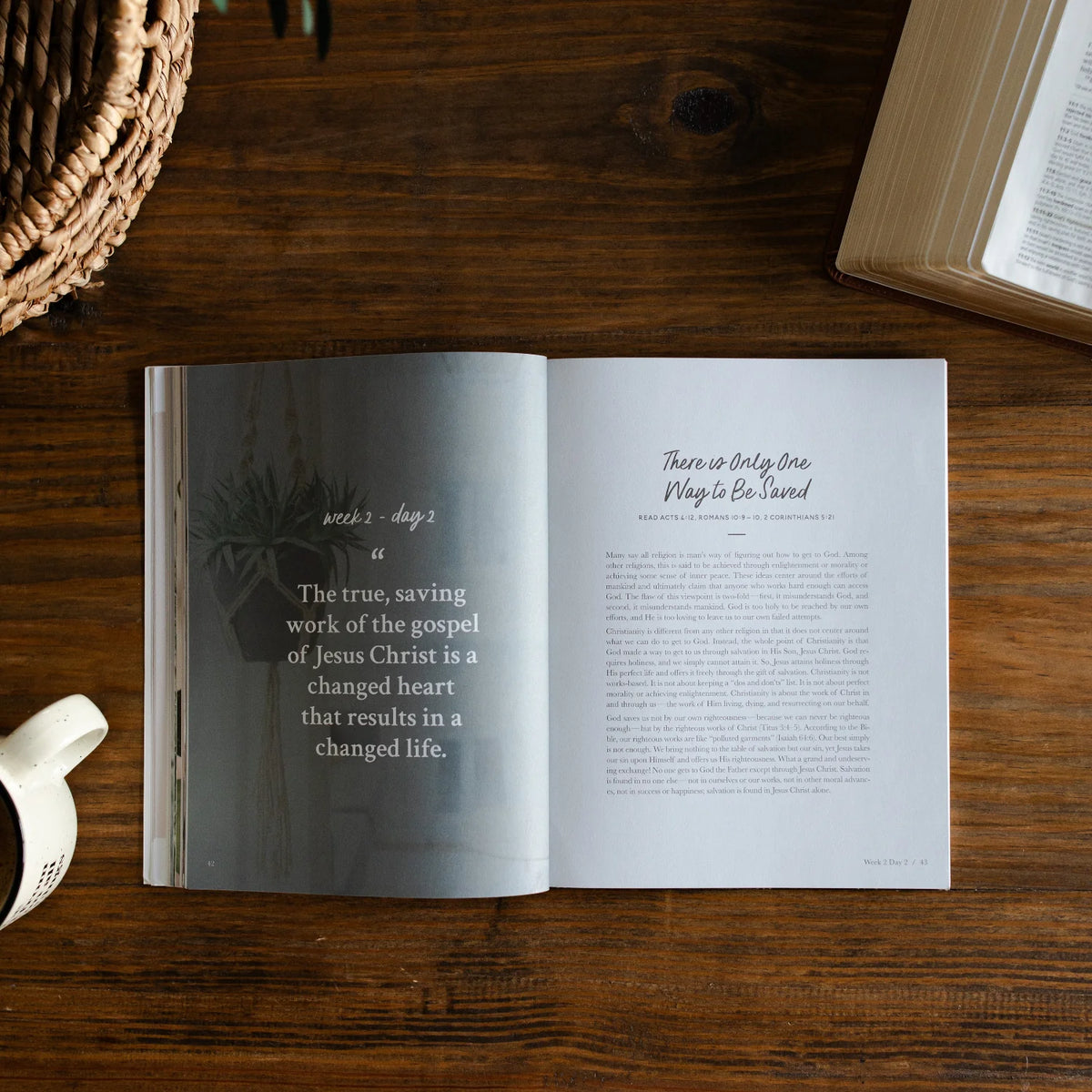 Daily Grace Co. Faith Foundations | A Study on the Basics of Christianity