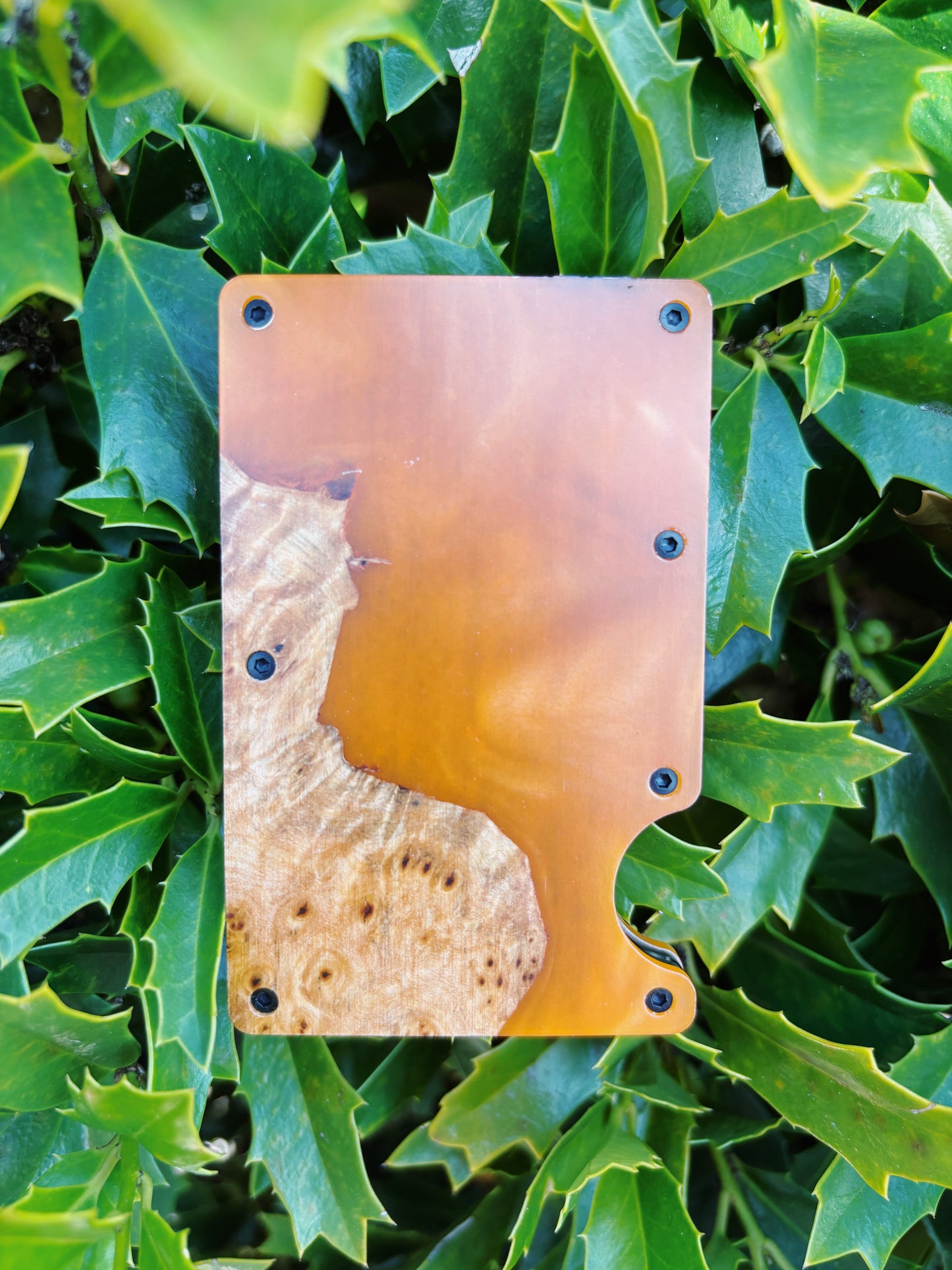 Wooden Element Wood And Resin Wallet