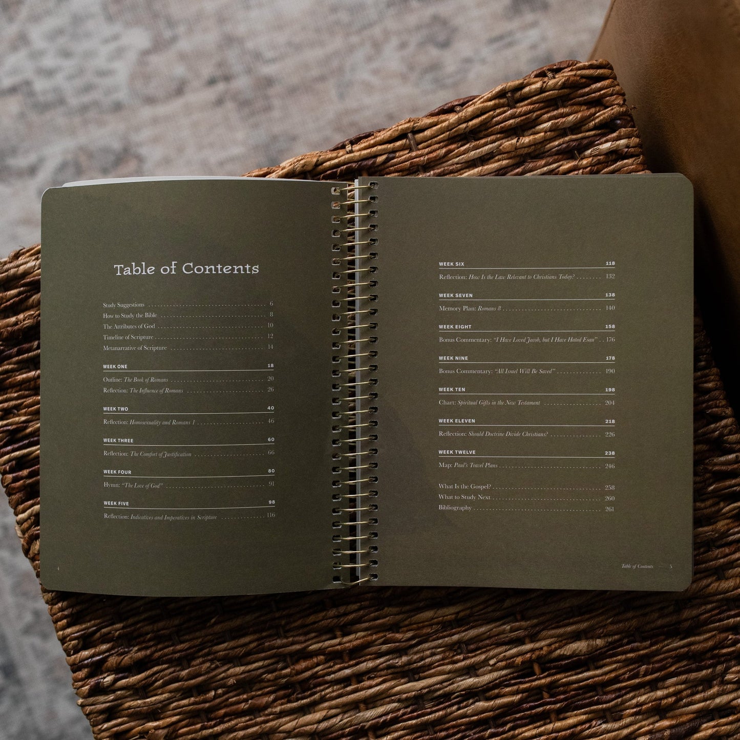 Daily Grace Co. In Christ Alone | Romans Bible Study - Men's
