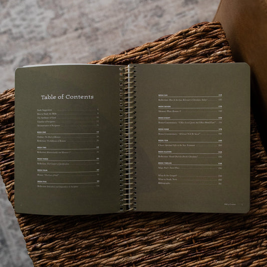 Daily Grace Co. In Christ Alone | Romans Bible Study - Men's