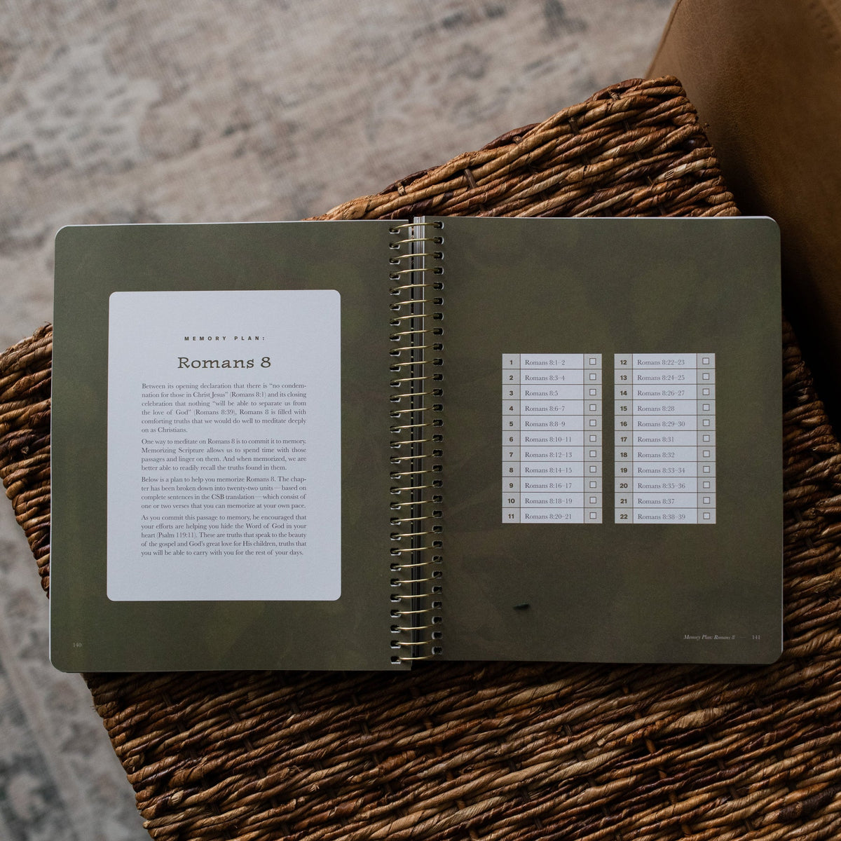 Daily Grace Co. In Christ Alone | Romans Bible Study - Men's
