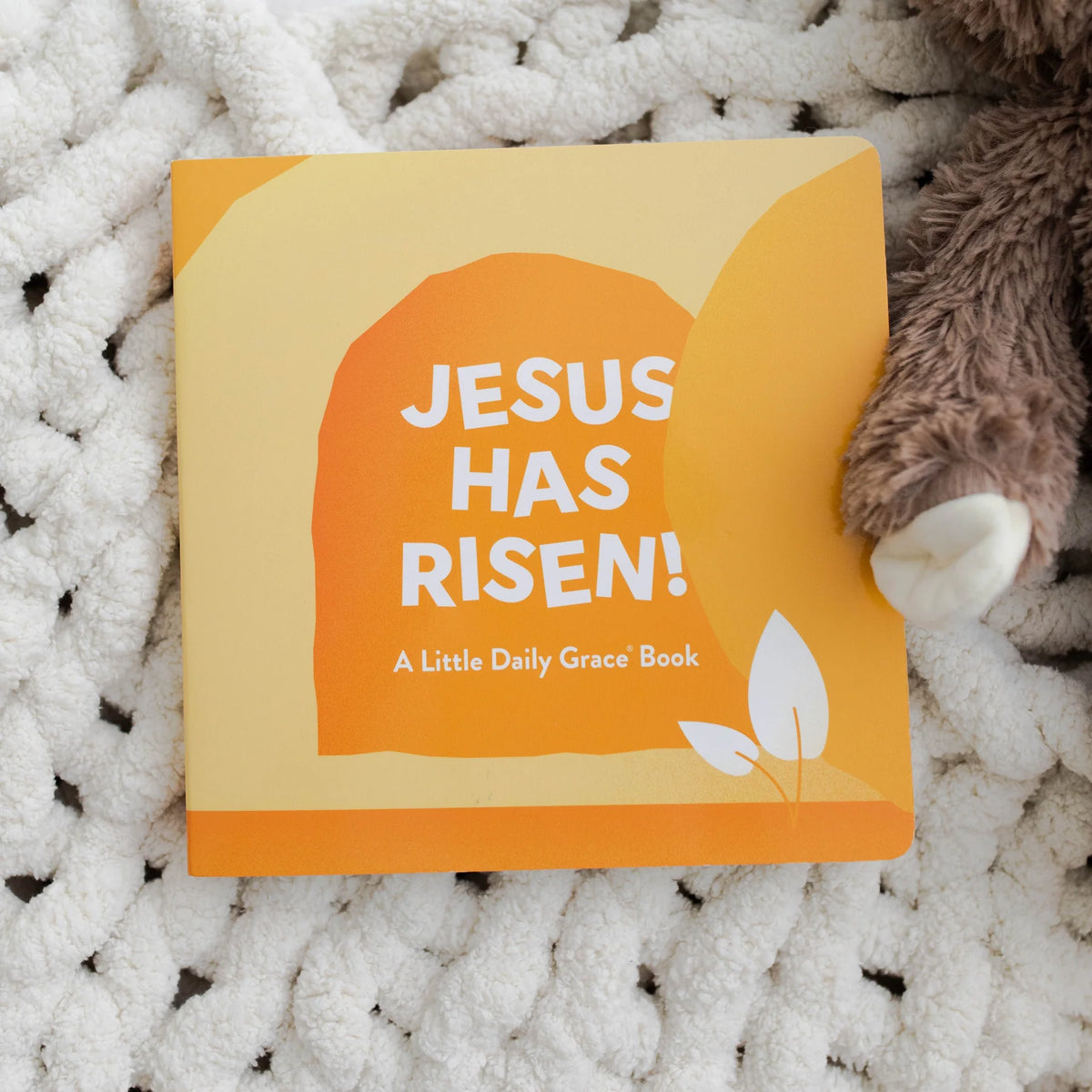 Daily Grace Co. Jesus Has Risen Board Book