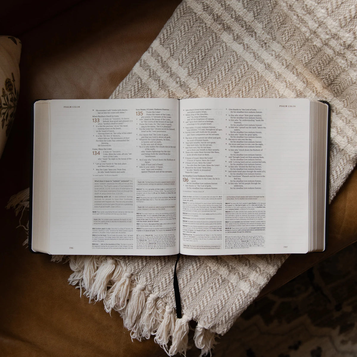 Daily Grace Co. ESV Journaling Study Bible | Equipped