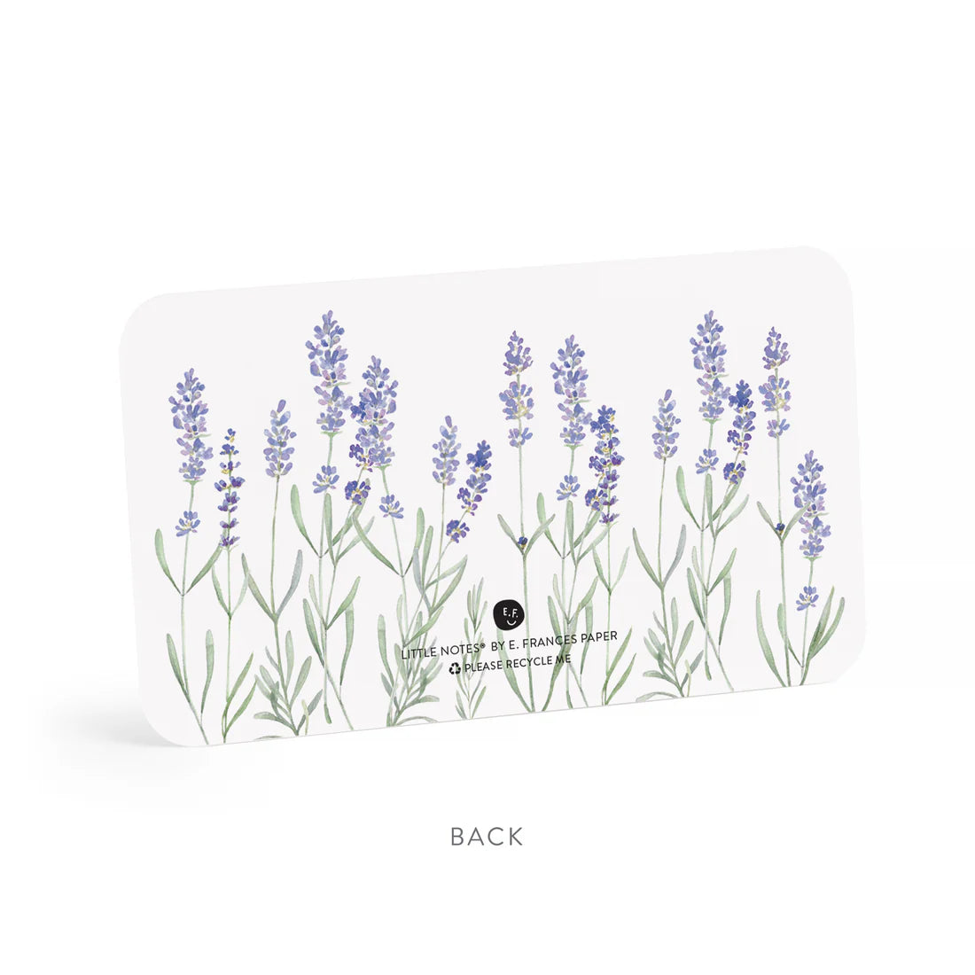 E. Frances Lavender Little Notes