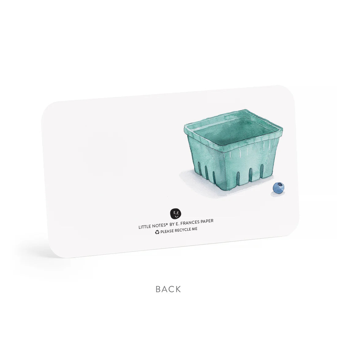 E. Frances Blueberry Little Notes