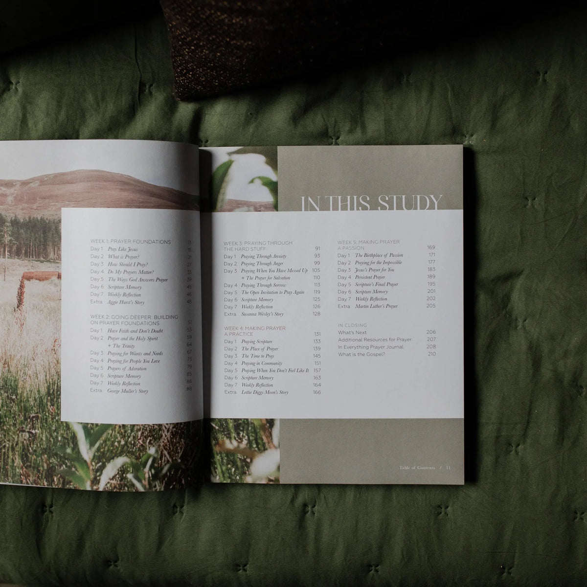 Daily Grace Co. Pray | Cultivating a Passionate Practice of Prayer - Men
