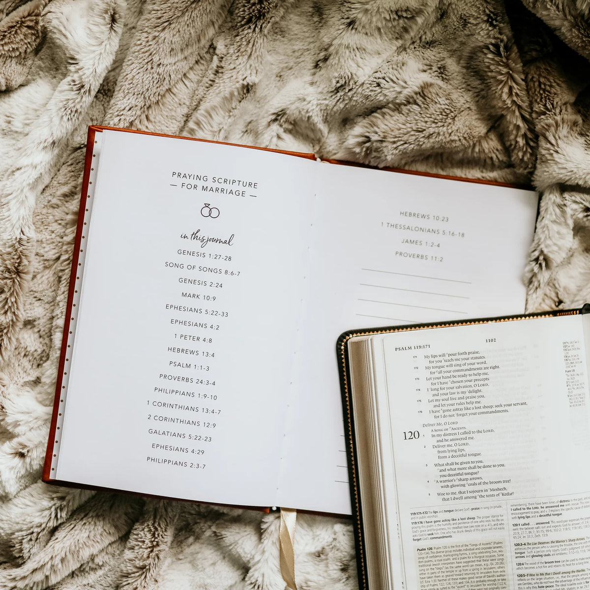 Daily Grace Co. Praying Scripture For Marriage Journal