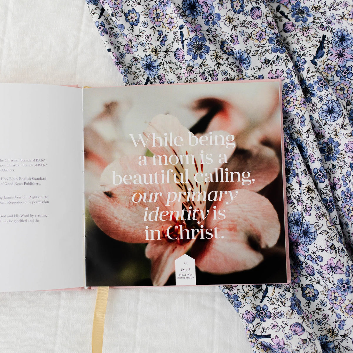 Daily Grace Co. Steadfast Motherhood Devotional