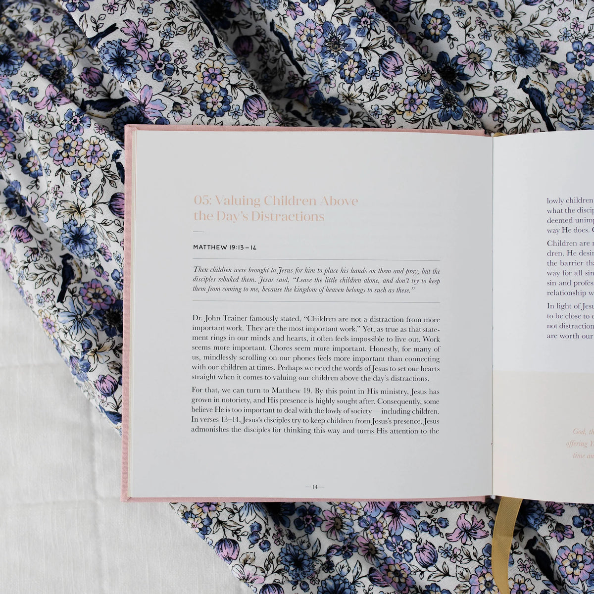Daily Grace Co. Steadfast Motherhood Devotional