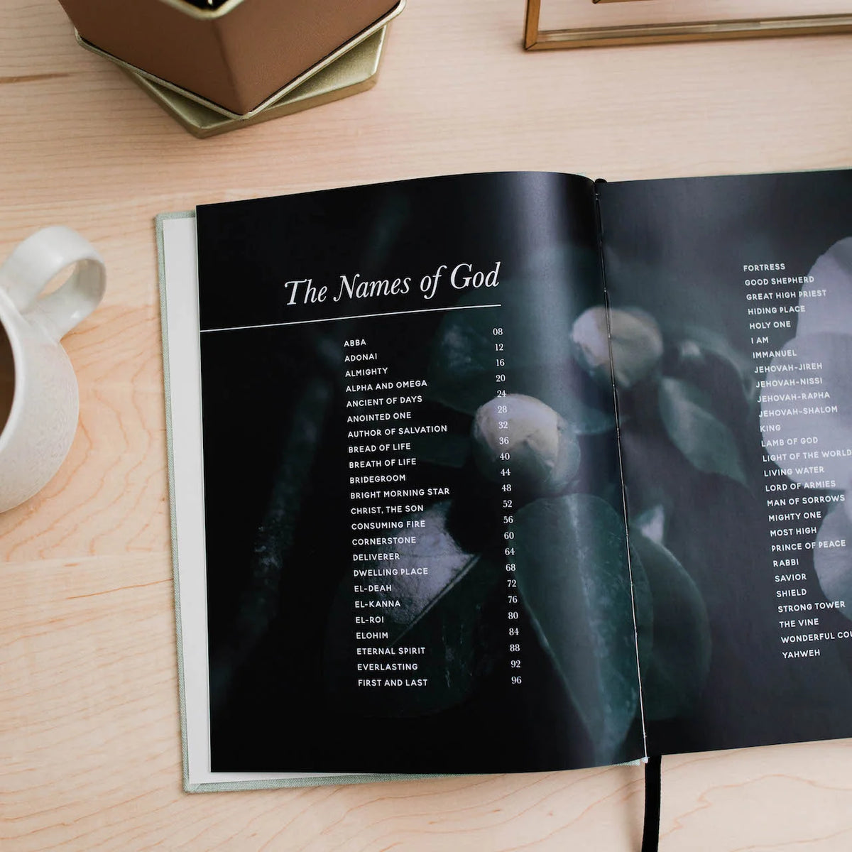 Daily Grace Co. The Names of God