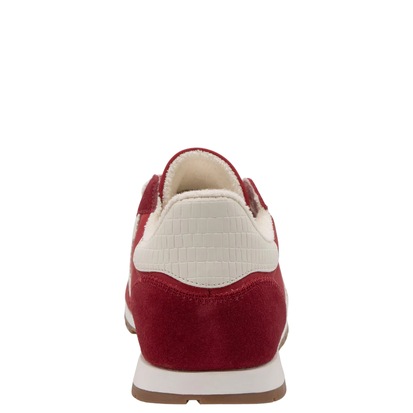 Back 70 Asian In Red White Sneakers