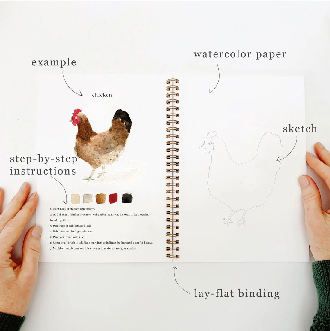 Emily Lex Studio Animal Watercolor Workbook